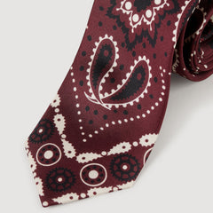Sandro Women Silk paisley print tie