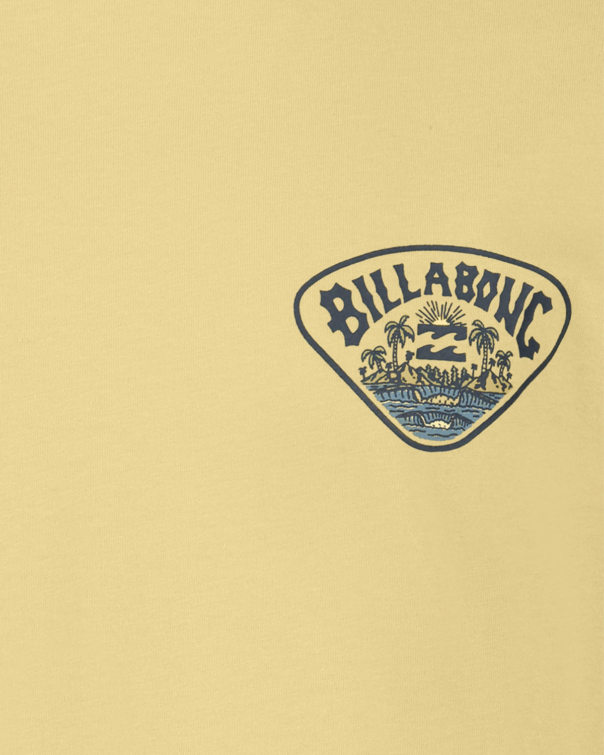 Billabong Women's Boys Scenic Arch Short Sleeve T-Shirt