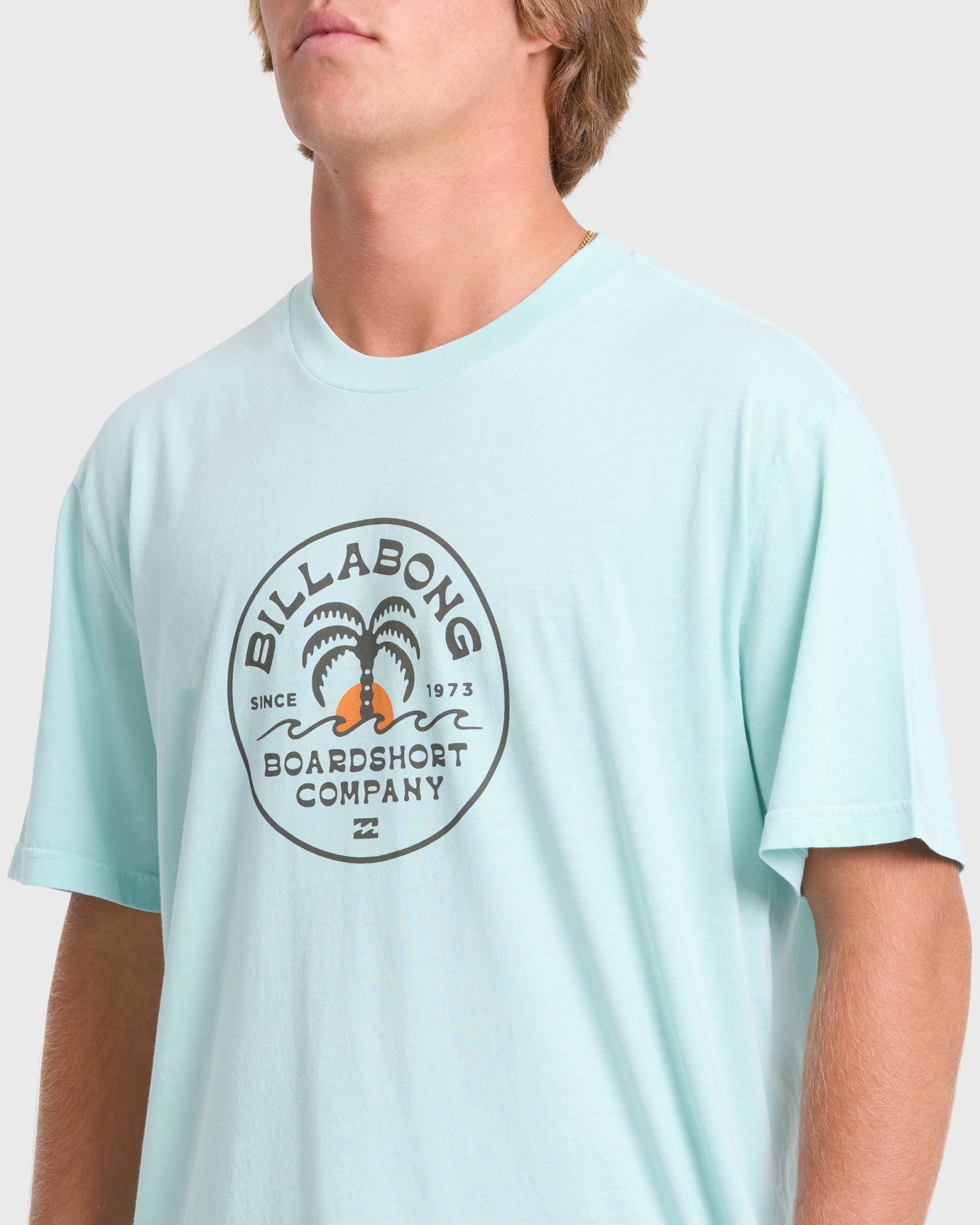 Billabong Men's Frond Premium Short Sleeve Cotton T-Shirt - Coastal Blue