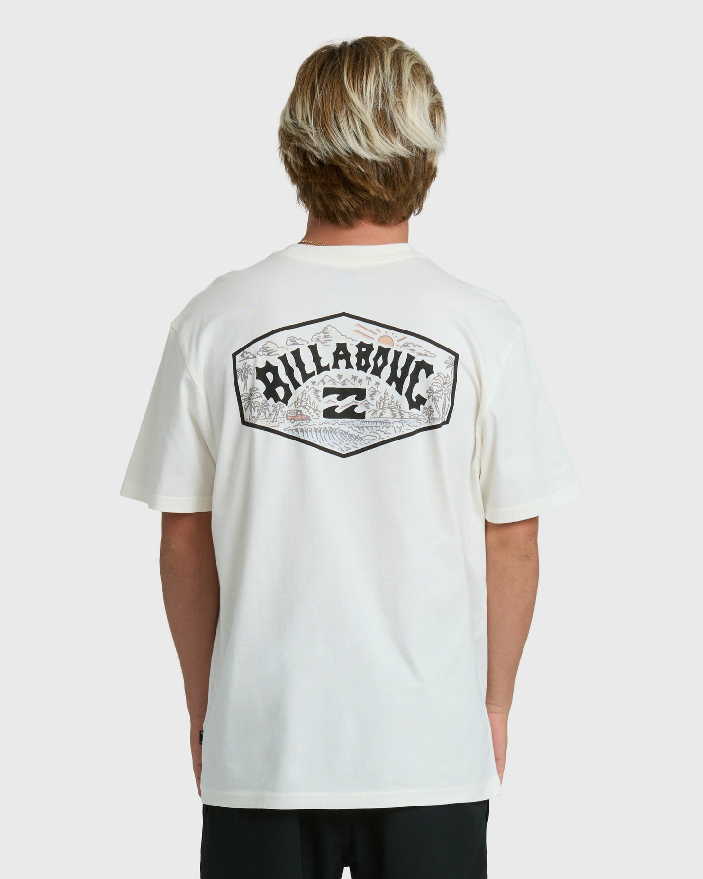 Billabong Men's Scenic Arch Adiv Premium Short Sleeve T-Shirt - Off White