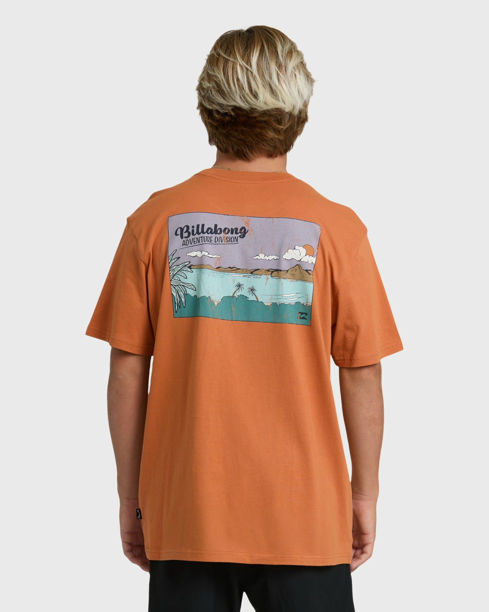 Billabong Men's Post Cards Adiv Premium Short Sleeve T-Shirt - Dusty Orange