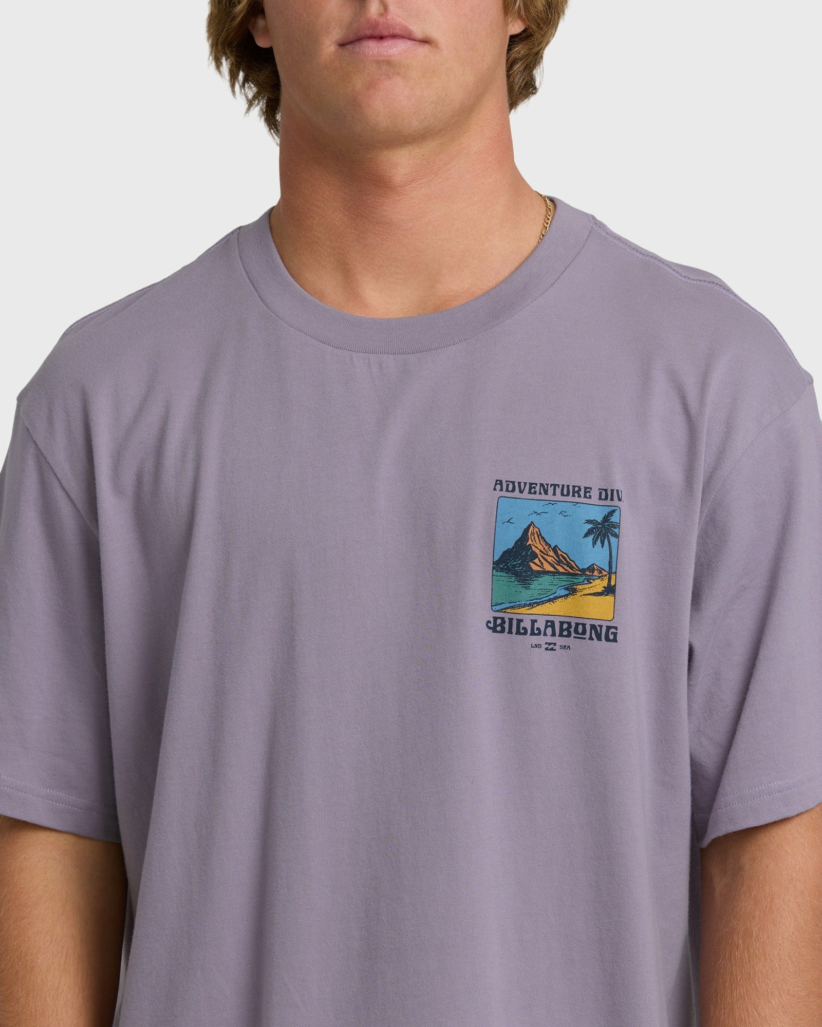 Billabong Men's Post Cards Adiv Premium Short Sleeve T-Shirt - Purple Ash