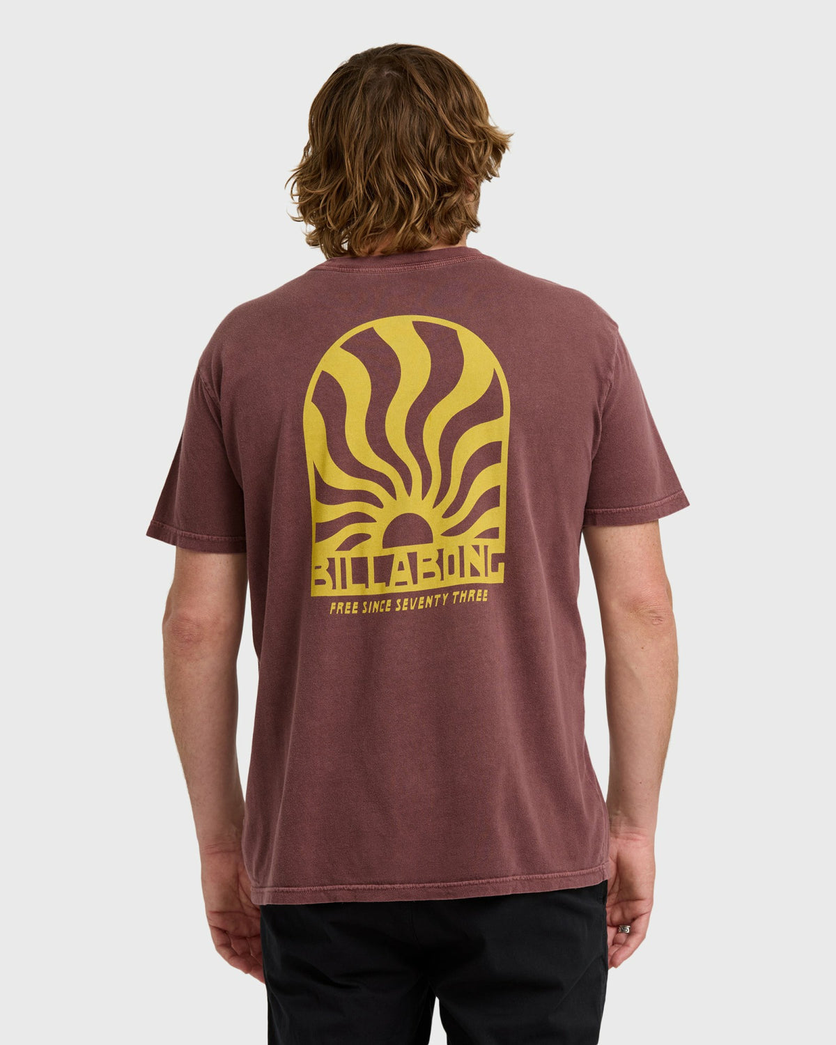 Billabong Men's Sun Rays Premium Ww Short Sleeve T-Shirt - Plum
