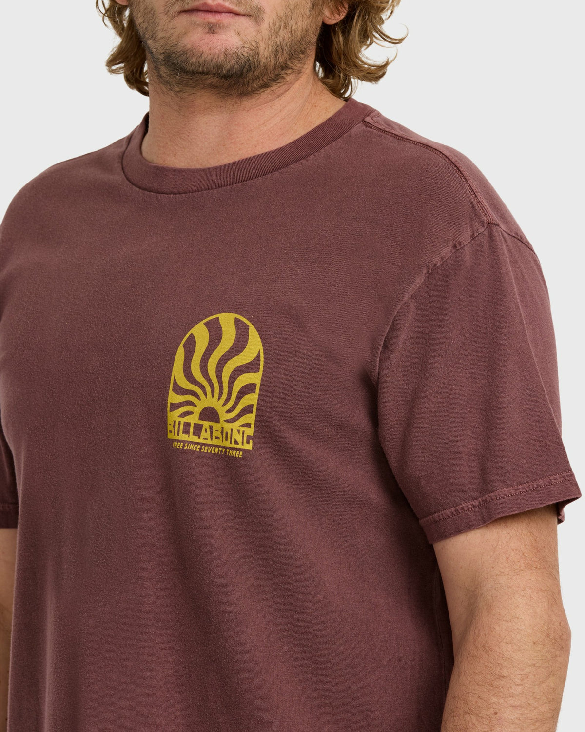 Billabong Men's Sun Rays Premium Ww Short Sleeve T-Shirt - Plum
