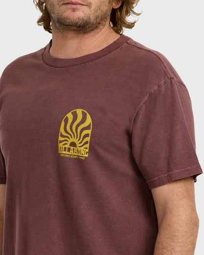 Billabong Men's Sun Rays Premium Ww Short Sleeve T-Shirt - Plum