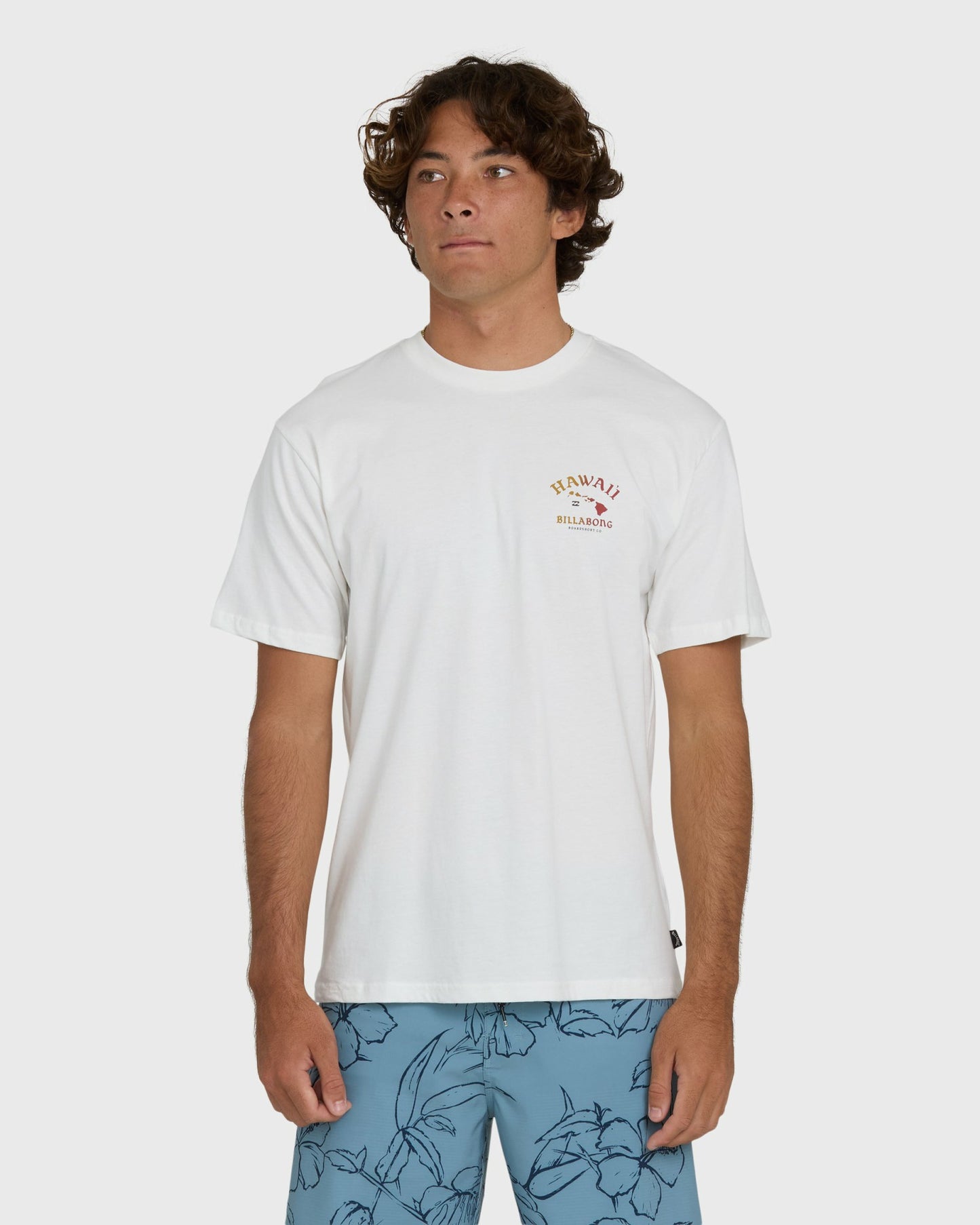 Billabong Men's Island Chain Hawaii Regular Short Sleeve Tee - Off White
