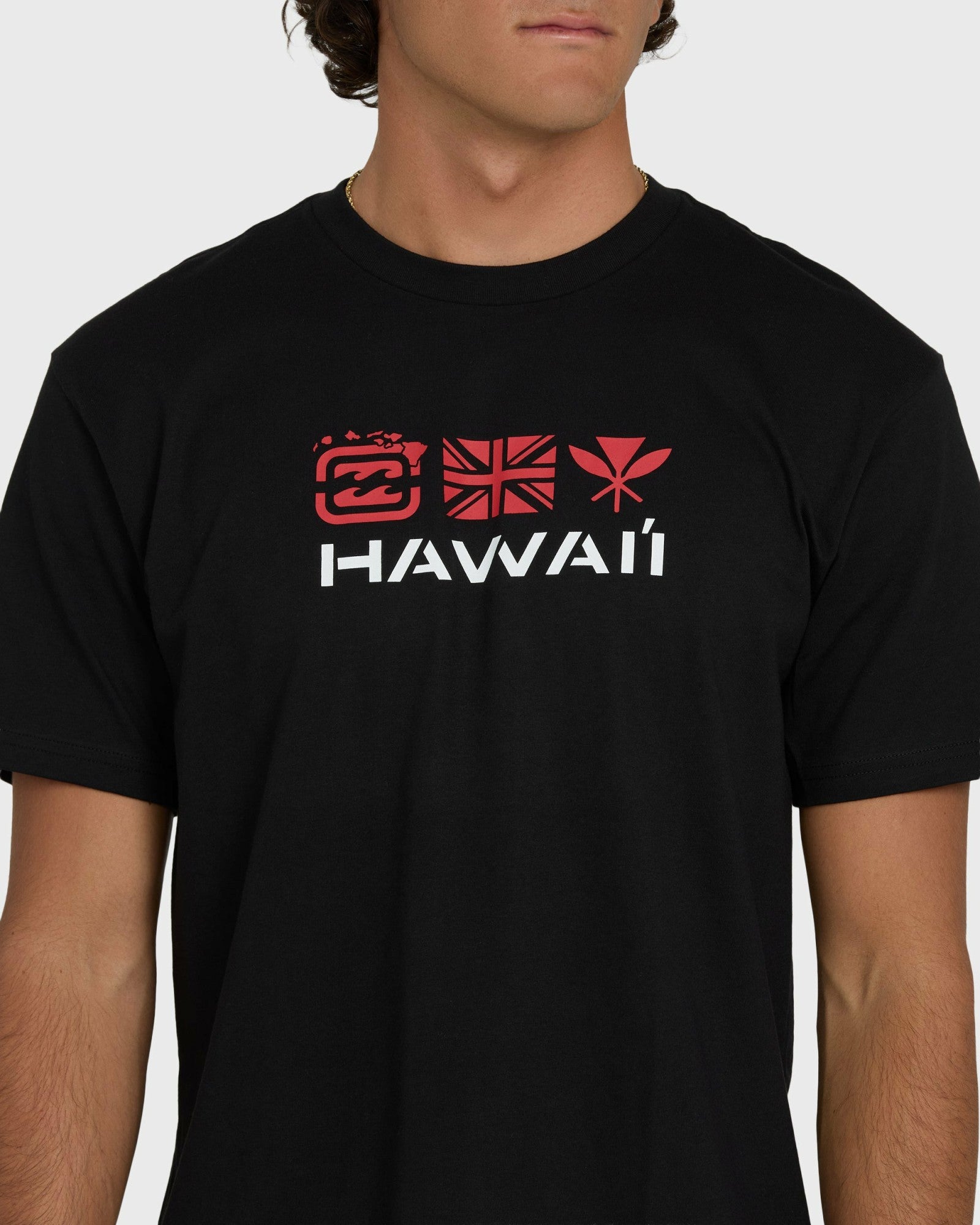Billabong Men's Kahili Hawaii Regular Short Sleeve Tee - Black