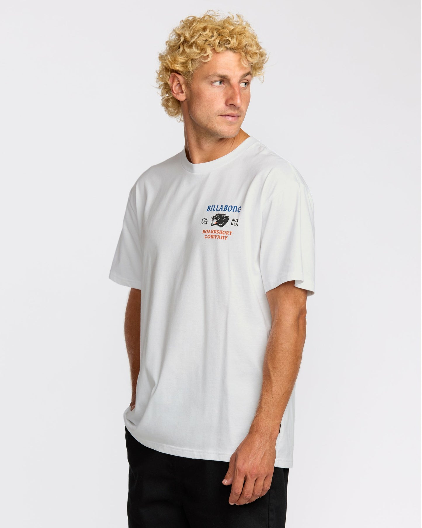 Billabong Men's Formidable Regular Short Sleeve T-Shirt - White